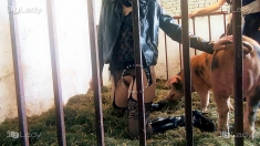 Lovely door K9Lady 01