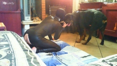 K9Lady_Latex_For_Dog 02