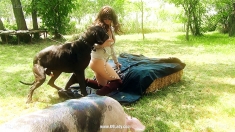 Out of Time K9Lady 06