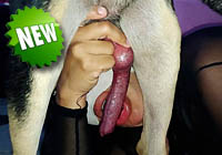 Benita K9Lady, dog sex