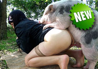 ariel animal sex - k9lady - sex with boar yard